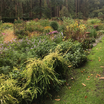 Bio-Kultura Biologische Tuinaarde